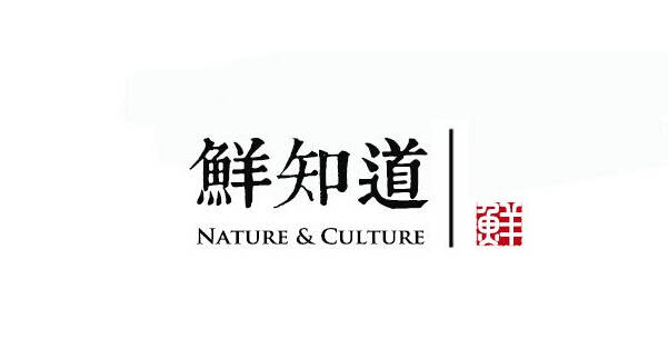 品牌logo设计公司