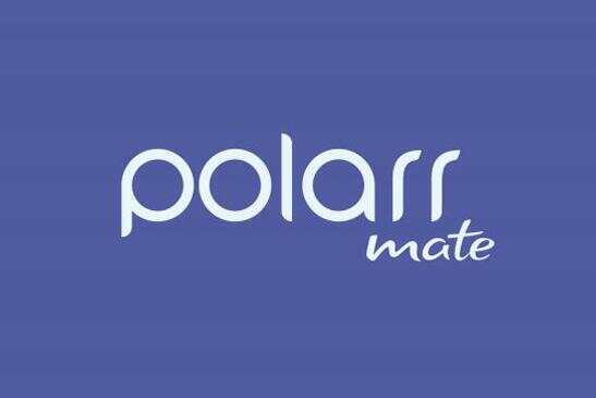 产品logo设计-polarrmate保健产品标志(zhì)设计策划